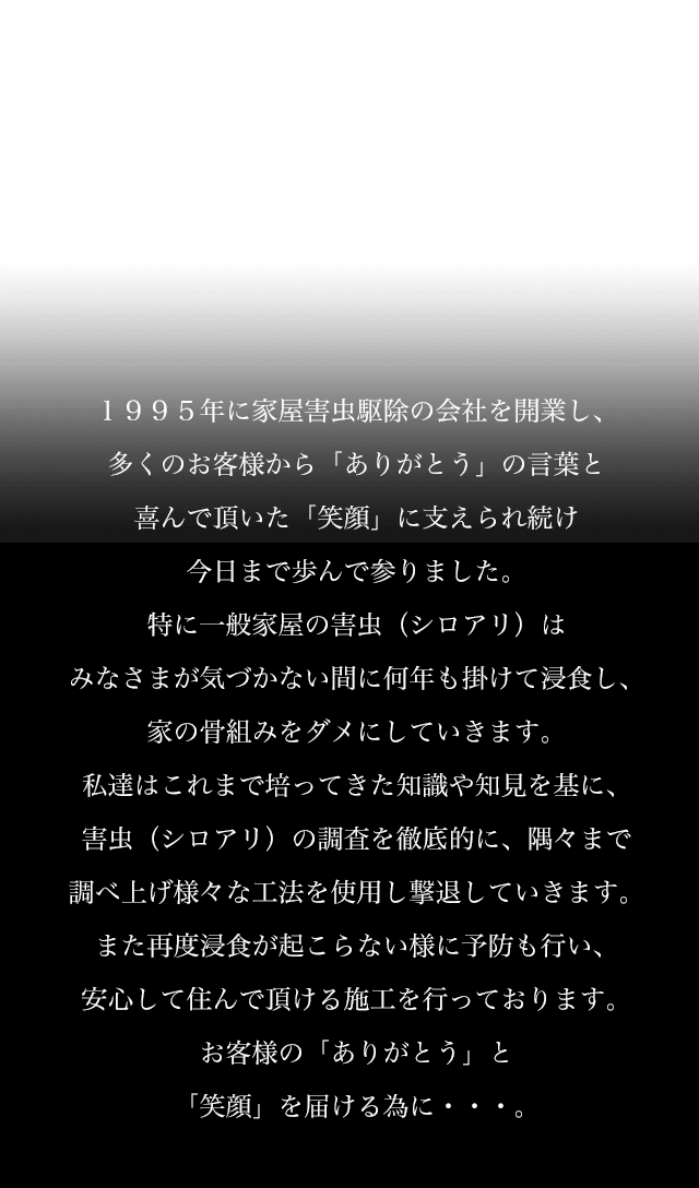 新星しろあり 行橋市でシロアリ駆除 予防 調査 防虫はお任せ下さい